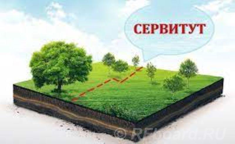 Установление сервитута для юридических лиц в Санкт-Петербурге.  Санкт-Петербург