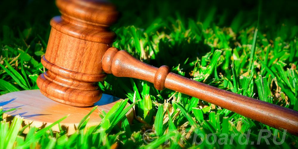 Услуги юриста и адвоката по экологическому праву в Москве.  Москва